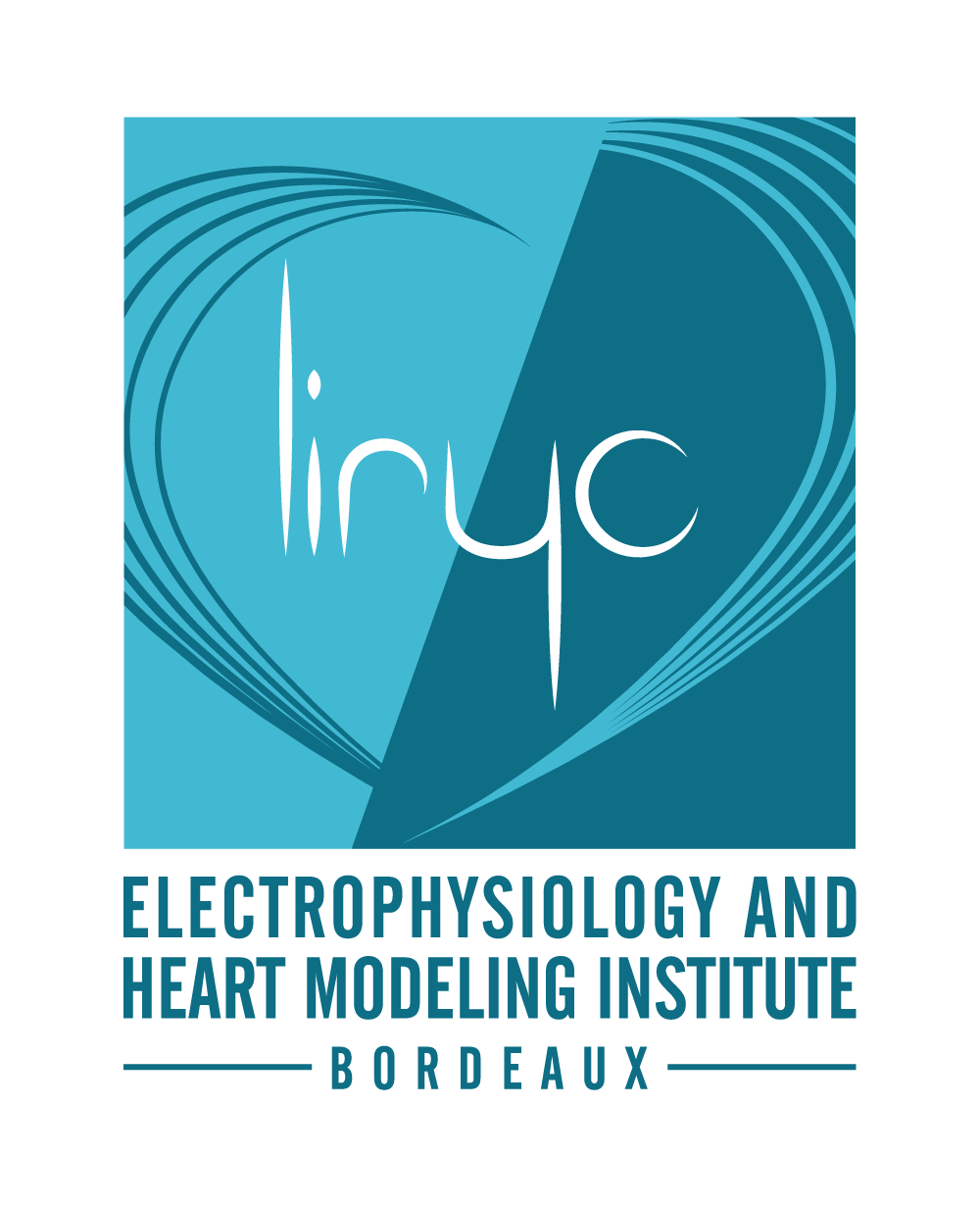  Electrophysiology and Heart Modeling Institute (LIRYC)